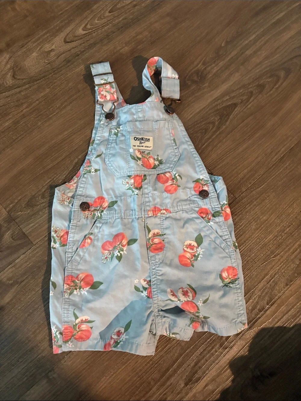 OshKosh B'gosh Light Blue Peach Print Shortalls
